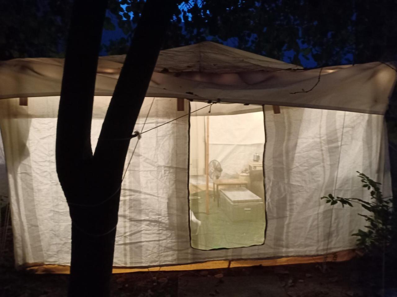 Nature Trail Camps & Homestay Jodhpur  Exterior foto